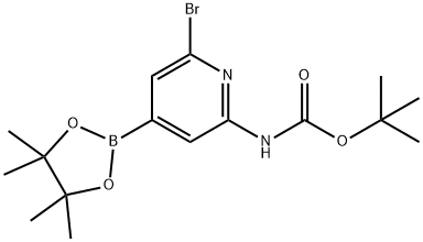 2-Bocamino-6-bromo-pyridine-4-boronic acid picol ester 化学構造式