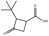 2-tert-butyl-3-oxocyclobutane-1-carboxylic acid, Mixture of diastereomers Structure