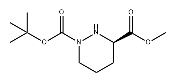 1,3(2H)-Pyridazinedicarboxylic acid, tetrahydro-, 1-(1,1-dimethylethyl) 3-methyl ester, (3R)- Structure