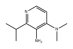 2-异丙基-N4,N4-二甲基吡啶-3,4-二胺, 2397623-48-0, 结构式