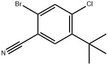 2-溴-5-(叔丁基)-4-氯苯甲腈,2416992-20-4,结构式