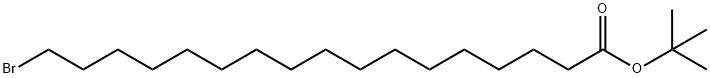 17-溴十七酸叔丁酯,2428400-70-6,结构式