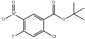 1,1-Dimethylethyl 2-chloro-4-fluoro-5-nitrobenzoate 化学構造式