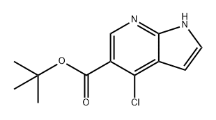 2436761-04-3 4-氯-1H-吡咯并[2,3-B]吡啶-5-羧酸叔丁酯