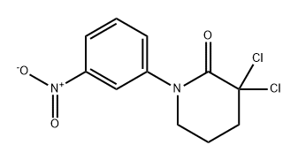 2-Piperidinone, 3,3-dichloro-1-(3-nitrophenyl)- Structure