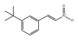 Benzene, 1-(1,1-dimethylethyl)-3-[(1E)-2-nitroethenyl]- Structure