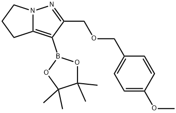 2489244-72-4 2-(((4-甲氧基苄基)氧基)甲基)-3-(4,4,,5,5-四甲基-1,3,2-二氧硼杂环戊烷-2-基)-5,6-二氢-4H-吡咯并[1,2-B]吡唑