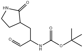 249736-55-8 (1-氧代-3-(2-氧代吡咯烷-3-基)丙-2-基)氨基甲酸叔丁酯