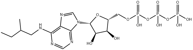 6-(2-MeBu)-ATP Struktur