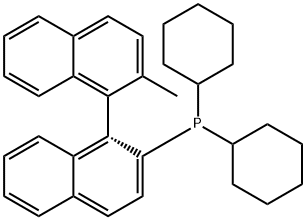 255882-17-8 二环己基(2'-甲基-[1,1'-联萘]-2-基)膦