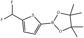 1,3,2-Dioxaborolane, 2-[5-(difluoromethyl)-2-thienyl]-4,4,5,5-tetramethyl- Struktur