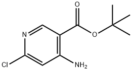 2580244-73-9 4-氨基-6-氯烟酸叔丁酯