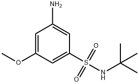 3-氨基-N-(叔丁基)-5-甲氧基苯磺酰胺 结构式