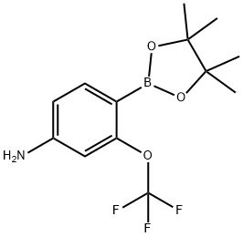 Benzenamine, 4-(4,4,5,5-tetramethyl-1,3,2-dioxaborolan-2-yl)-3-(trifluoromethoxy)- Struktur