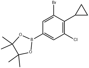 2621936-21-6 2-(3-溴-5-氯-4-环丙基苯基)-4,4,5,5-四甲基-1,3,2-二氧杂硼烷