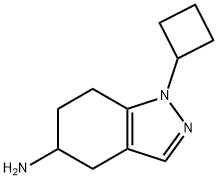 1-Cyclobutyl-4,5,6,7-tetrahydro-1H-indazol-5-amine Structure