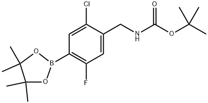 叔丁基(2-氯-5-氟-4-(4,4,5,5-四甲基-1,3,2-二氧杂硼烷-2-基)苄基)氨基甲酸酯,2641807-44-3,结构式