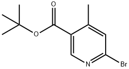 Tert-butyl 6-bromo-4-methylnicotinate Structure