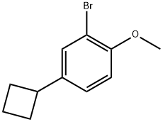 2-Bromo-4-cyclobutyl-1-methoxybenzene 结构式