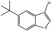 3-bromo-5-tert-butylbenzofuran 化学構造式