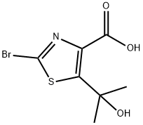 2648455-21-2 2-溴-5-(2-羟基丙-2-基)噻唑-4-羧酸