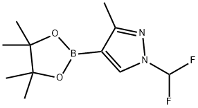 2675491-23-1 1-(二氟甲基)-3-甲基-4-(4,4,5,5-四甲基-1,3,2-二氧硼杂环戊烷-2-基)-1H-吡唑