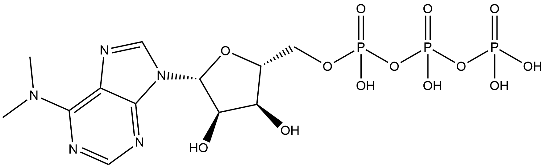 Adenosine 5'-(tetrahydrogen triphosphate), N,N-dimethyl- (9CI) 化学構造式