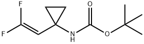 Carbamic acid, N-[1-(2,2-difluoroethenyl)cyclopropyl]-, 1,1-dimethylethyl ester|(1-(2,2-二氟乙烯基)环丙基)氨基甲酸叔丁酯