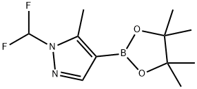 2732864-03-6 1-(二氟甲基)-5-甲基-4-(4,4,5,5-四甲基-1,3,2-二氧硼杂环戊烷-2-基)-1H-吡唑