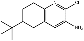 3-Quinolinamine, 2-chloro-6-(1,1-dimethylethyl)-5,6,7,8-tetrahydro- Struktur