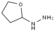 Hydrazine, (tetrahydro-2-furanyl)- 结构式