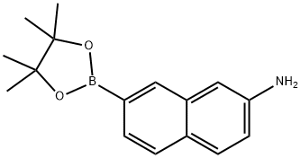 2-Naphthalenamine, 7-(4,4,5,5-tetramethyl-1,3,2-dioxaborolan-2-yl)- Struktur