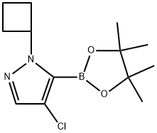 2750602-23-2 4-氯-1-环丁基-5-(4,4,5,5-四甲基-1,3,2-二氧杂硼烷-2-基)-1H-吡唑