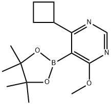 2750602-26-5 4-环丁基-6-甲氧基-5-(4,4,5,5-四甲基-1,3,2-二氧杂硼烷-2-基)嘧啶