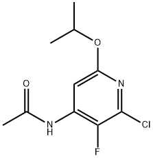 Acetamide, N-[2-chloro-3-fluoro-6-(1-methylethoxy)-4-pyridinyl]- Struktur
