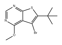 Thieno[2,3-d]pyrimidine, 5-bromo-6-(1,1-dimethylethyl)-4-methoxy-|5-溴-6-(叔丁基)-4-甲氧基噻吩并[2,3-D]嘧啶