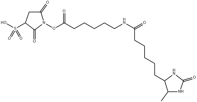 Hexanoic acid, 6-[[6-(5-methyl-2-oxo-4-imidazolidinyl)-1-oxohexyl]amino]-, 2,5-dioxo-3-sulfo-1-pyrrolidinyl ester Structure