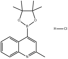 2-甲基-4-(4,4,5,5-四甲基-1,3,2-二氧杂硼杂环戊烷-2-基)喹啉盐酸盐,2796386-91-7,结构式