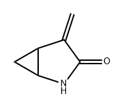 2-Azabicyclo[3.1.0]hexan-3-one, 4-methylene- Structure