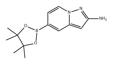 5-(4,4,5,5-四甲基-1,3,2-二氧硼杂环戊烷-2-基)吡唑并[1,5-A]吡啶-2-胺,2810048-41-8,结构式