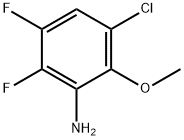 2813324-12-6 3-氯-5,6-二氟-2-甲氧基苯胺