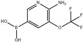 2813867-71-7 (6-氨基-5-(三氟甲氧基)吡啶-3-基)硼酸