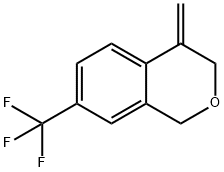 4-亚甲基-7-(三氟甲基)异色满 结构式