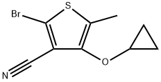 2836225-43-3 2-溴-4-环丙氧基-5-甲基噻吩-3-腈