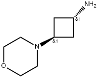 Cyclobutanamine, 3-(4-morpholinyl)-, trans- 化学構造式