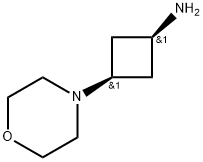 CIS-3-吗啉代环丁烷-1-胺,2839512-01-3,结构式