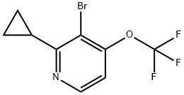 Pyridine, 3-bromo-2-cyclopropyl-4-(trifluoromethoxy)- 化学構造式