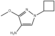 1-环丁基-3-甲氧基-1H-吡唑-4-胺,2839891-85-7,结构式