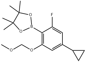 1,3,2-二氧硼杂环戊烷,2-[4-环丙基-2-氟-6-(甲氧基甲氧基)苯基]-4,4,5,5-四甲基, 2913572-51-5, 结构式
