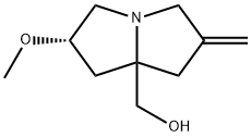 1H-Pyrrolizine-7a(5H)-methanol, tetrahydro-2-methoxy-6-methylene-, (2S)-|1H-吡咯嗪-7A(5H)-甲醇,四氢-2-甲氧基-6-亚甲基-,(2S)